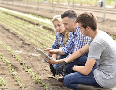 Cannabis Grower Supply in Colorado