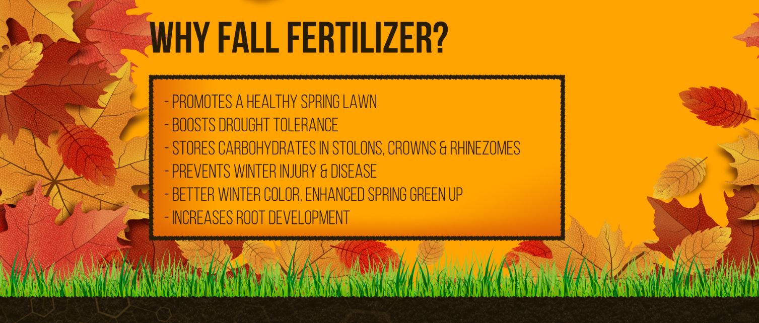 winter lawn fertilizer